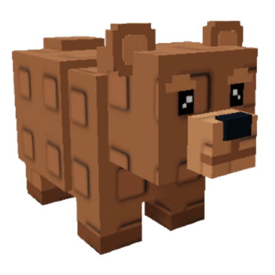 Bear