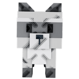 Raccoon